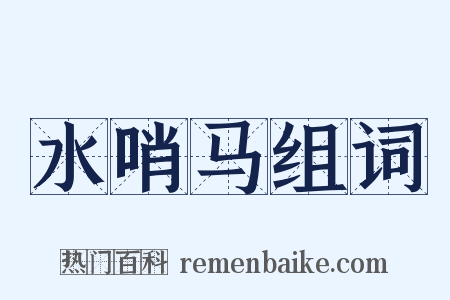 水哨马组词是什么意思的图片